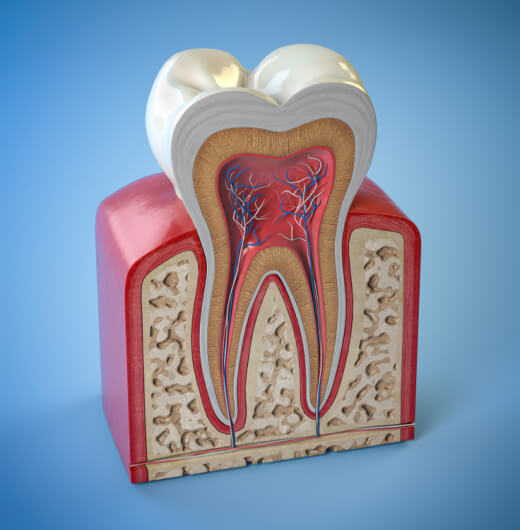 illustrating root canal therapy in Burleson